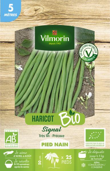 Légumes Secs - Haricot Nain Vert Signal - 5 m - BIO - PACKAGING_RECTO
